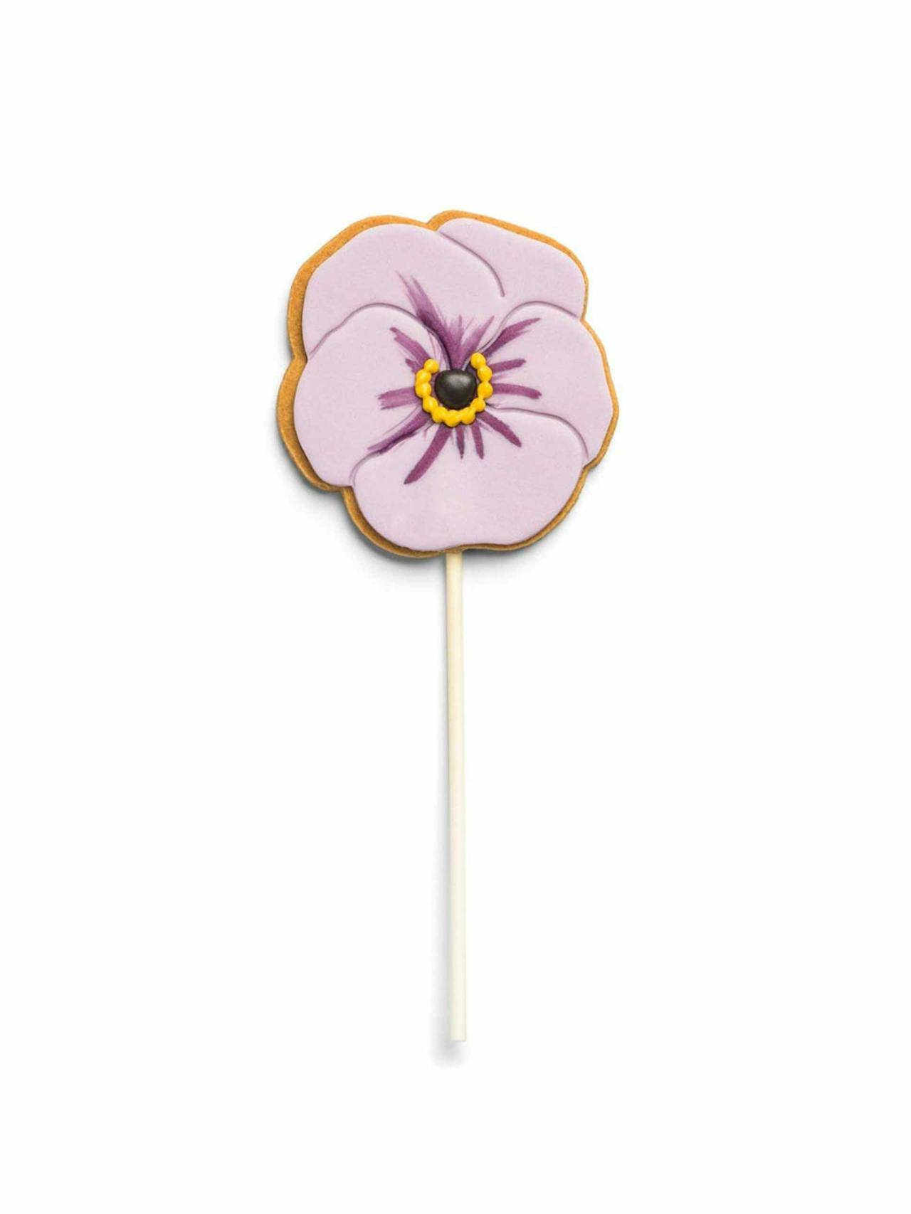 Viola iced biscuit lolly