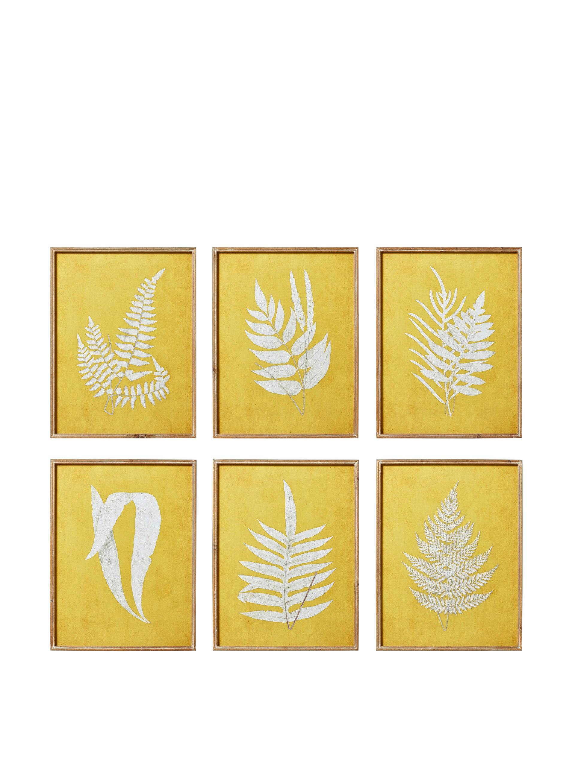 Yellow fern framed prints ( set of 6 )