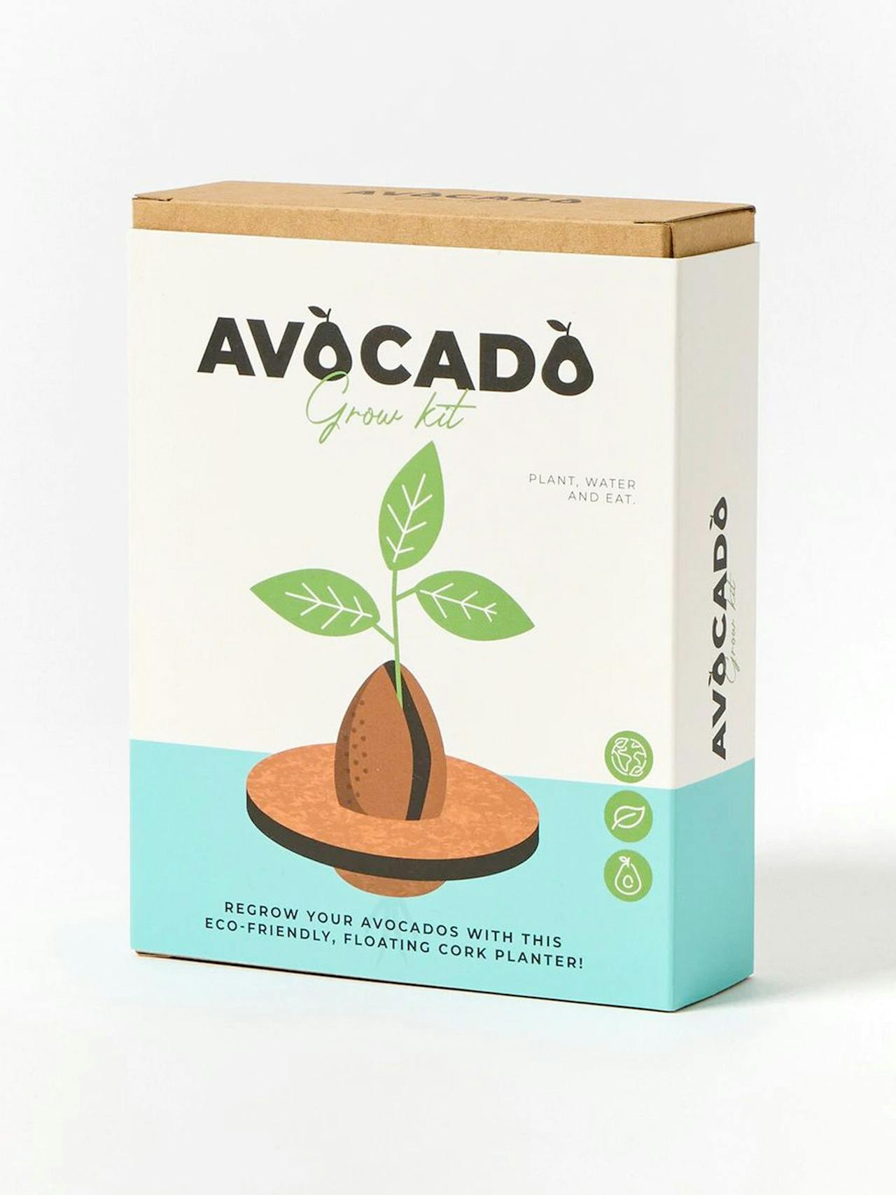 Avocado grow kit