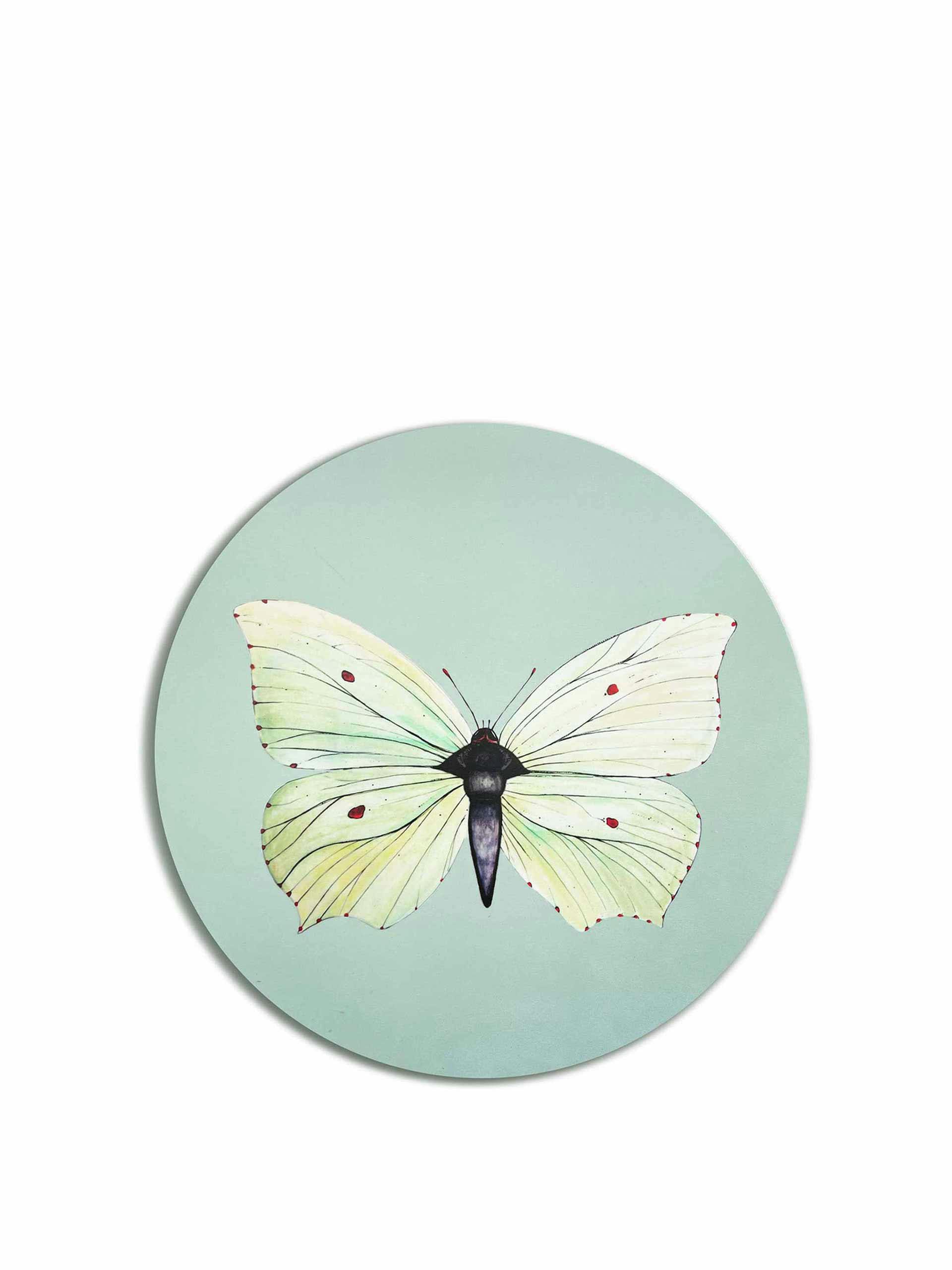 Icy blue brimstone butterfly coaster
