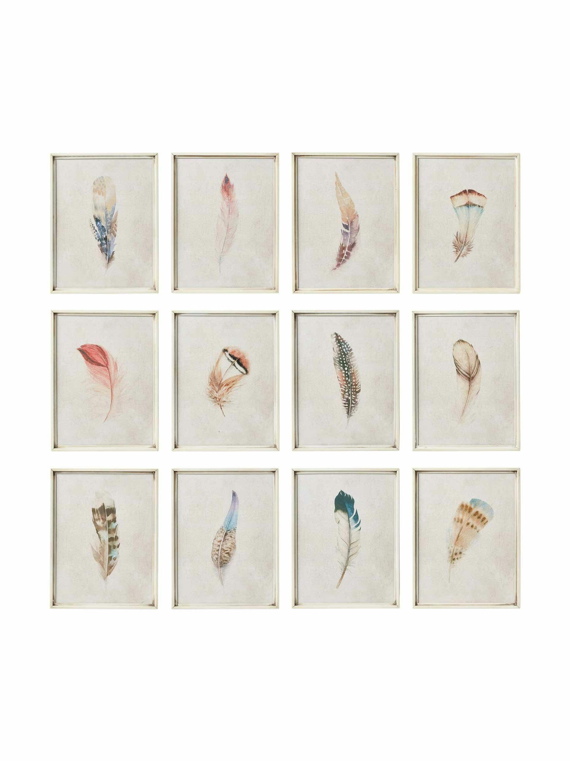 Feather prints set of 12