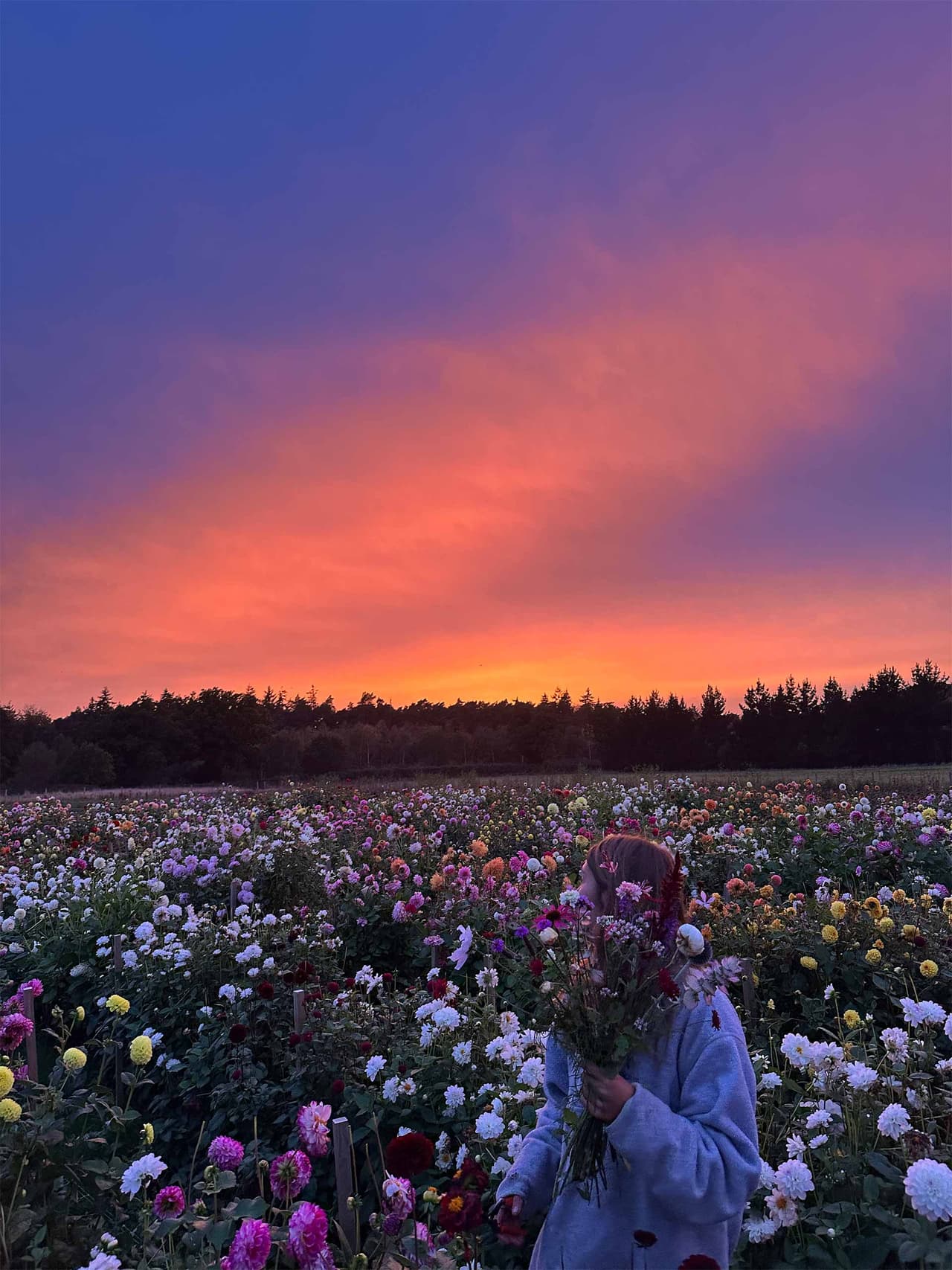 gardenmonth-holding-alfie-nickerson-garden