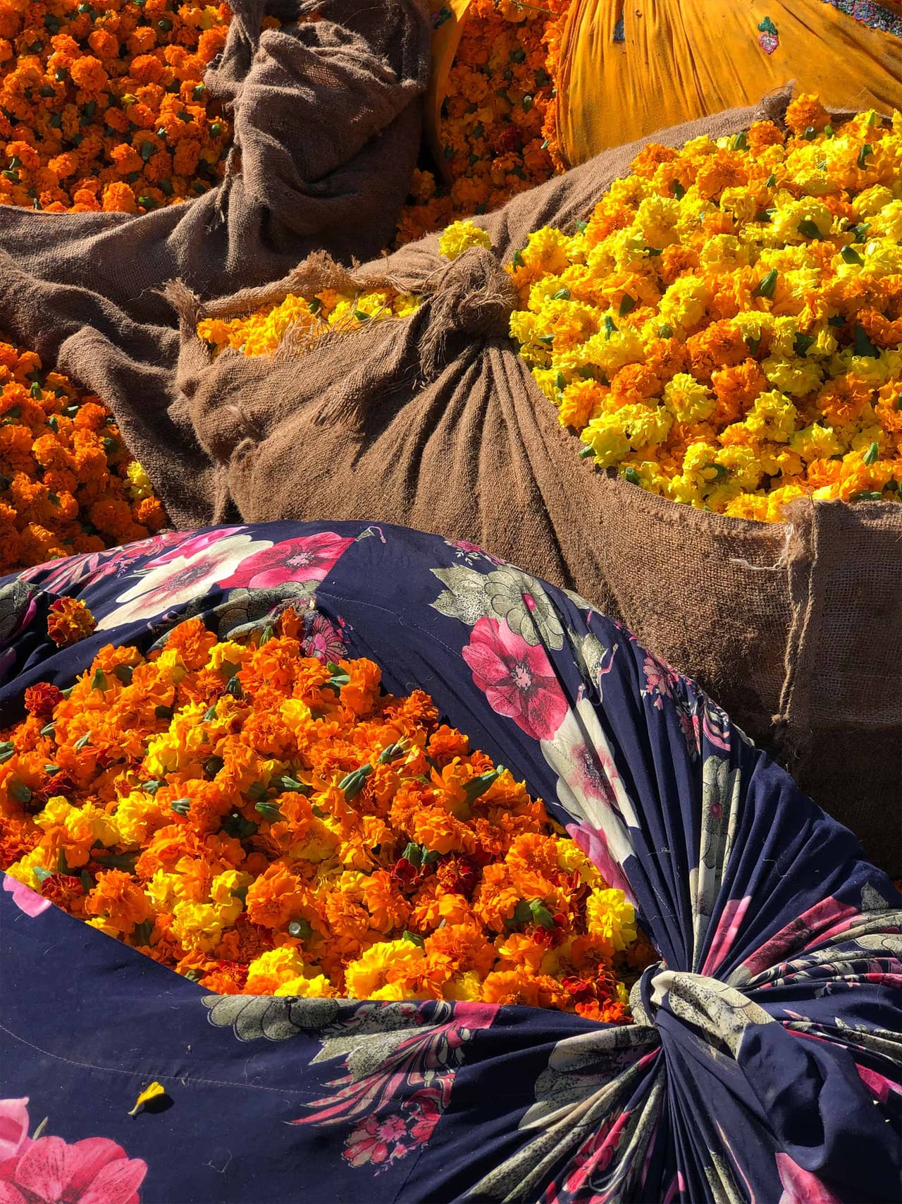 jaipur-holding-8-shopping