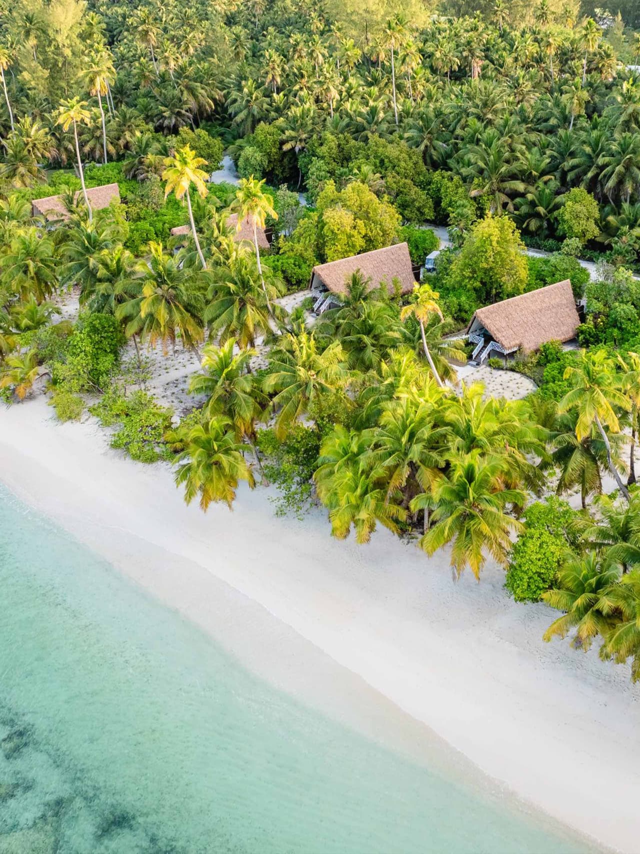 team-destinations-holding-seychelles-2 Image: Alphonse Island Lodge