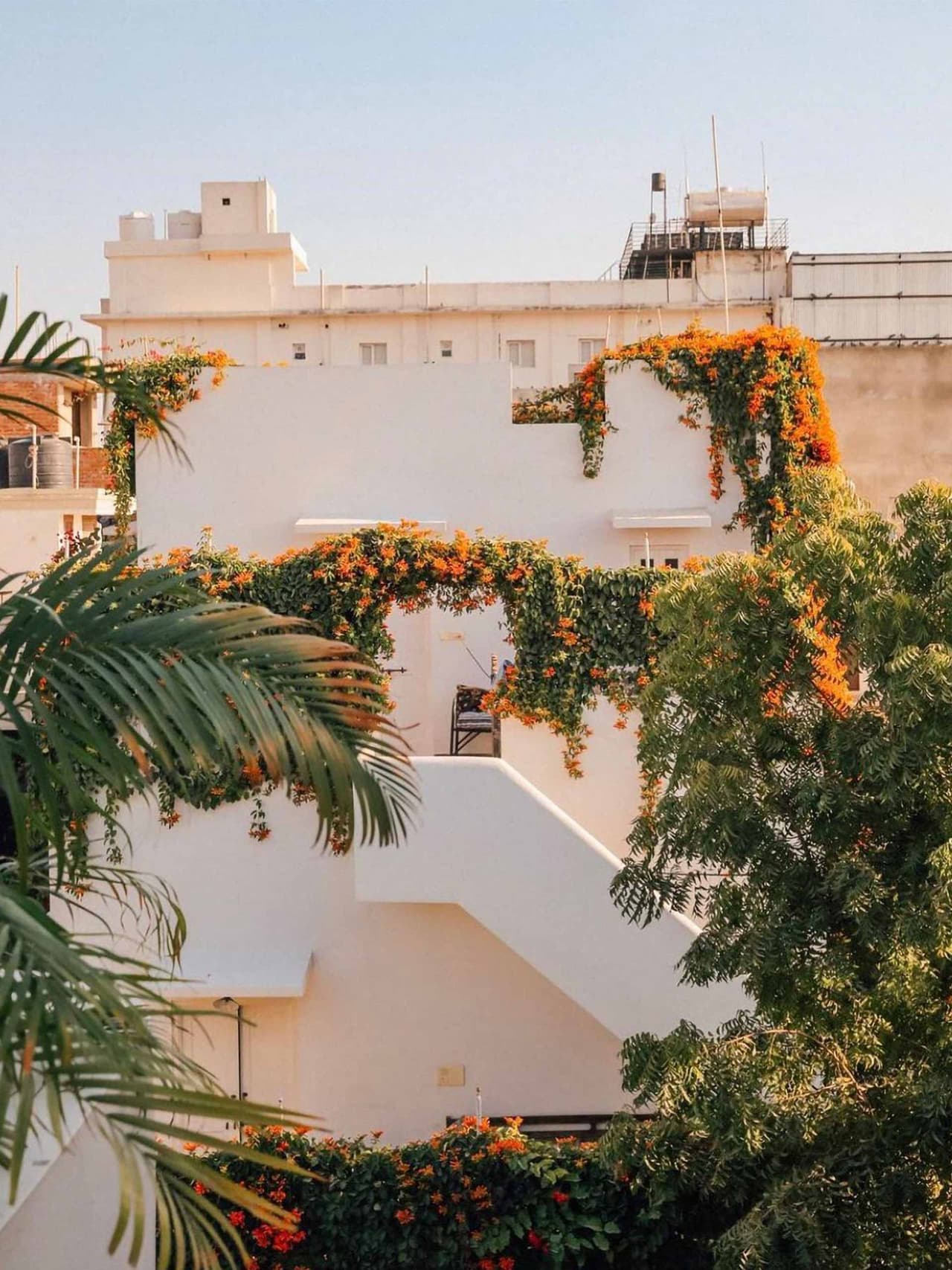 jaipur-holding-6-jobner-bagh Image: Jobner Bagh