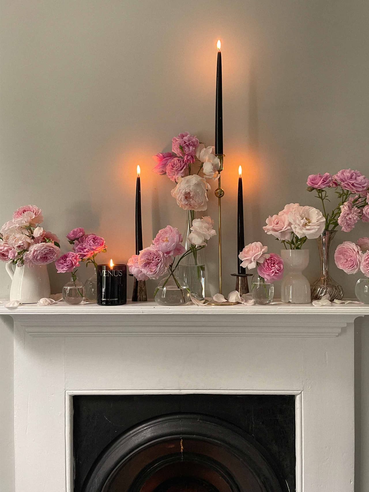 the-hackney-gardener-shelf-rose Image: The Hackney Gardener