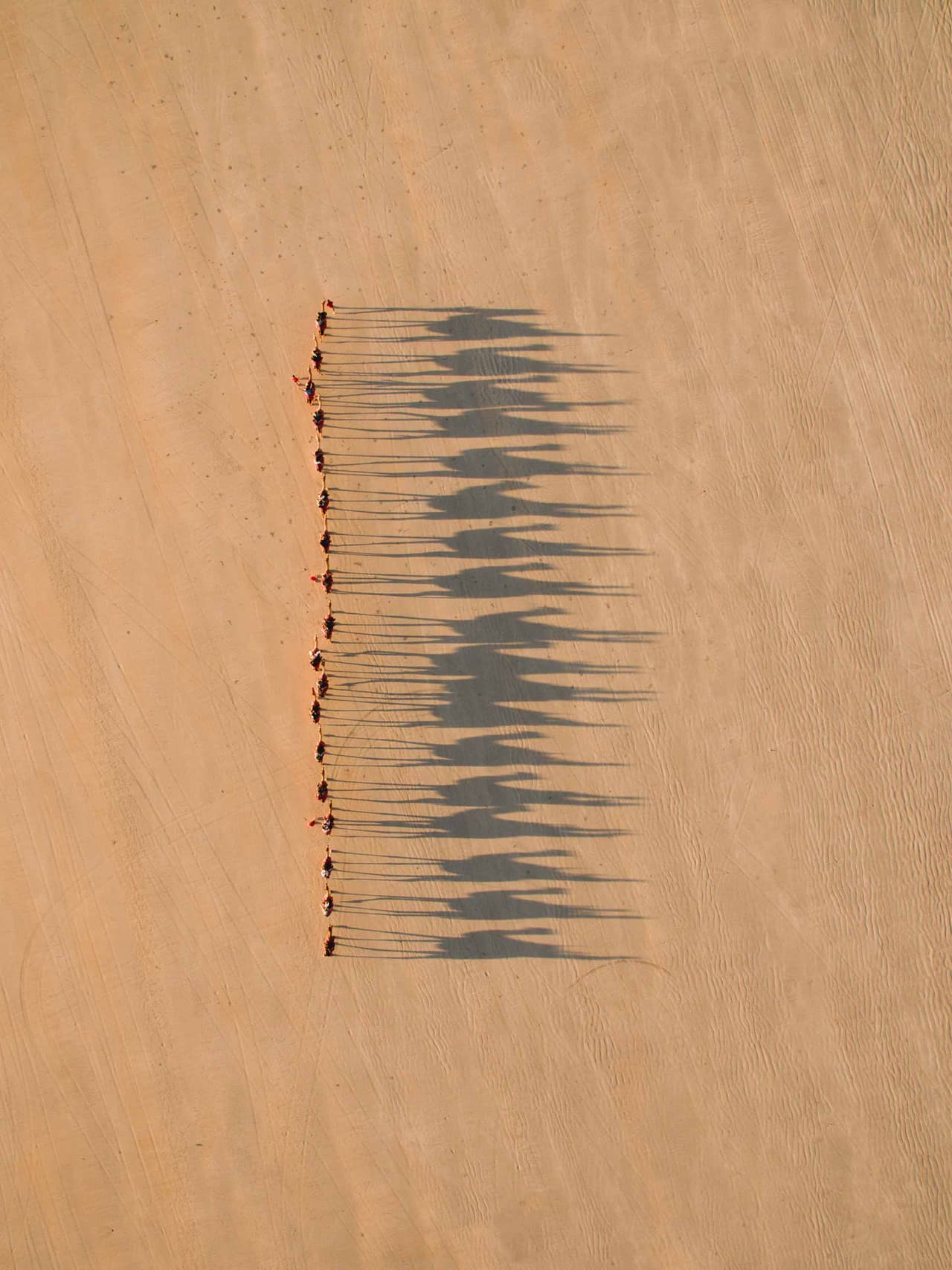 earth-day-holding-jarrad-seng Image: Jarrad Seng