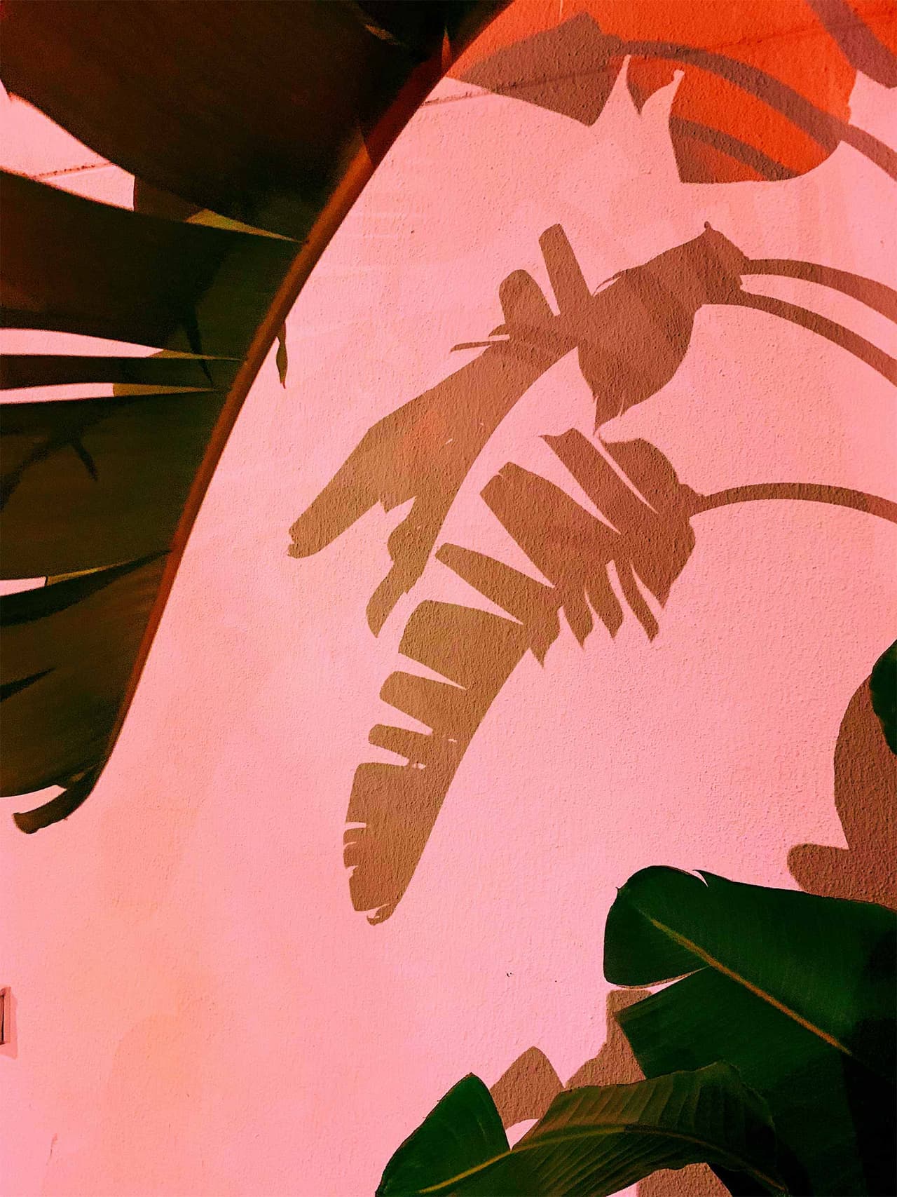 tropical-holding-andrei-slobtsov Image: Andrei Slobstov