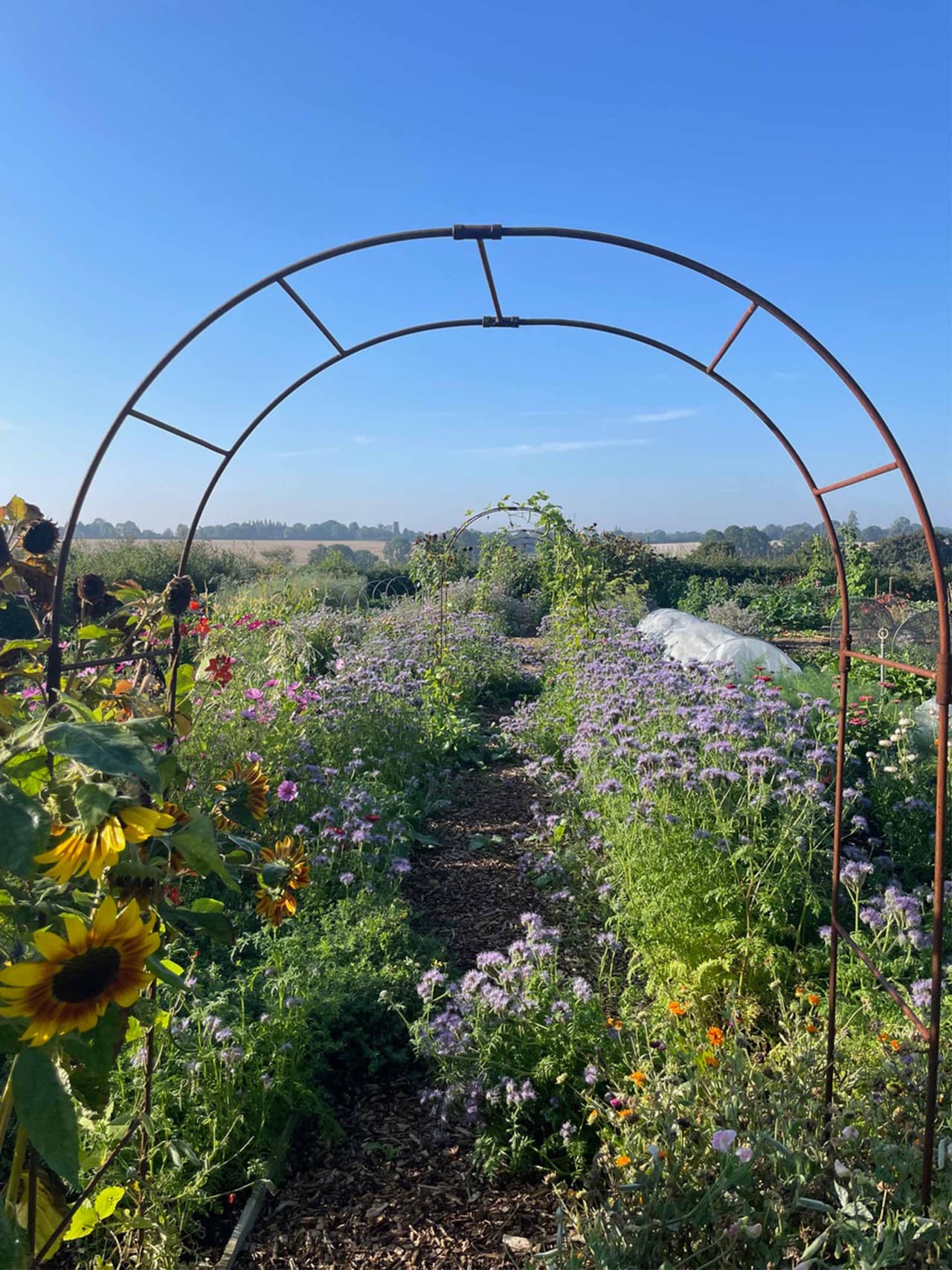 gardenmonth-holding-anna-greenland-garden