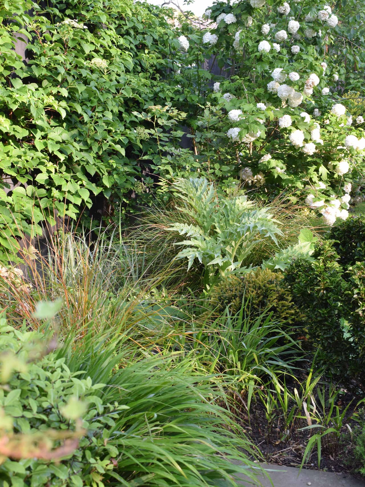 gardenmonth-holding-hazel-gardiner-garden