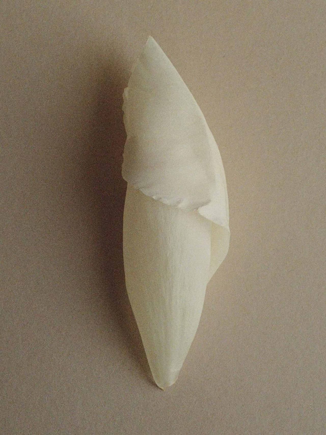 earth-day-holding-lilli-waters Image: Lilli Waters