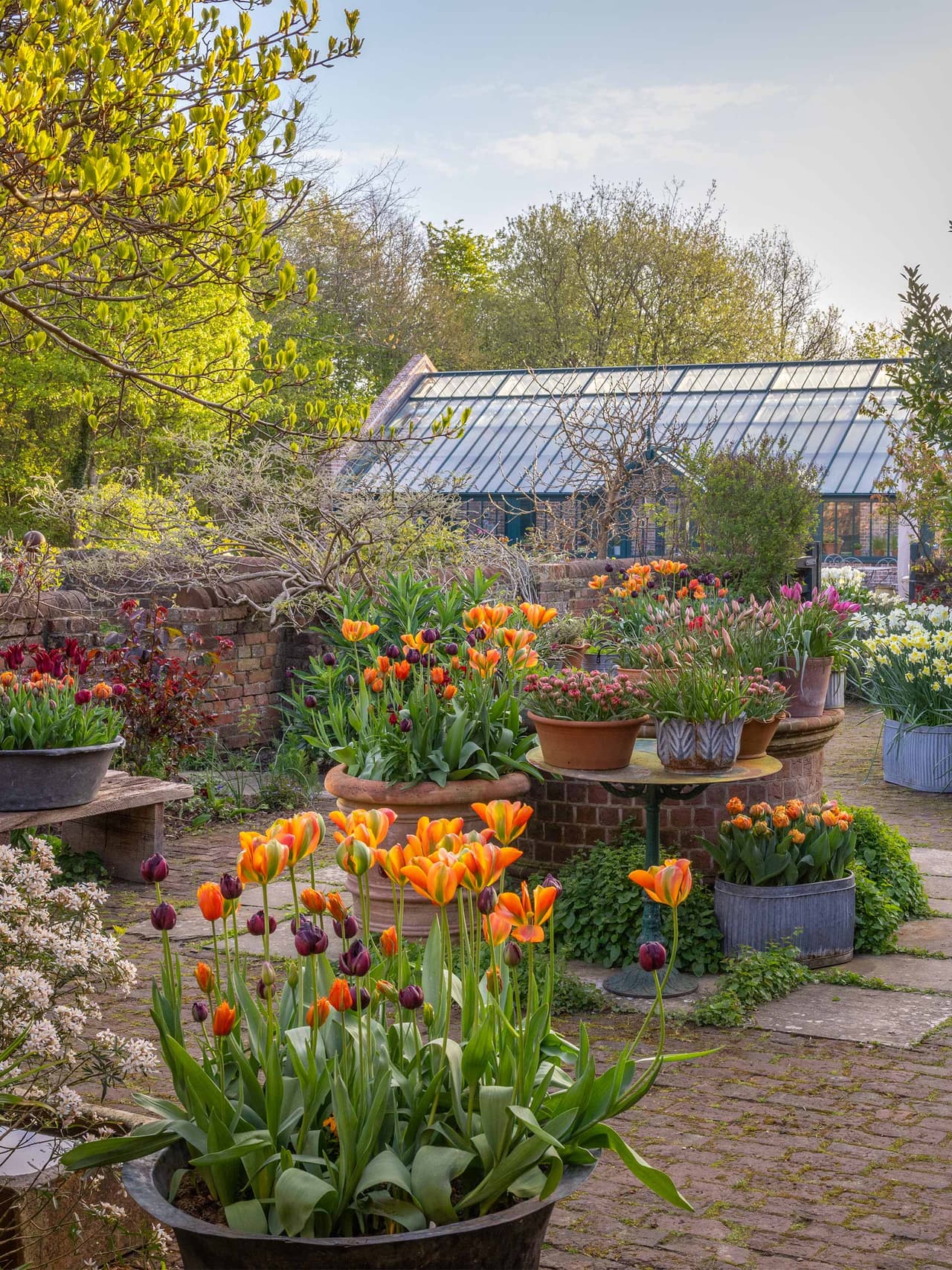 gardenmonth-holding-sarah-raven-garden