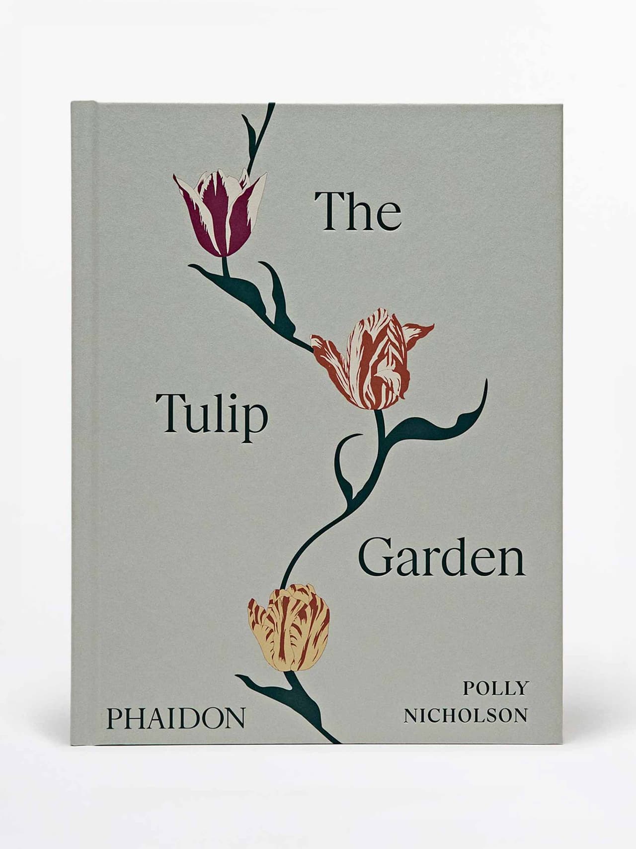 hp-tulip-garden-phaidon