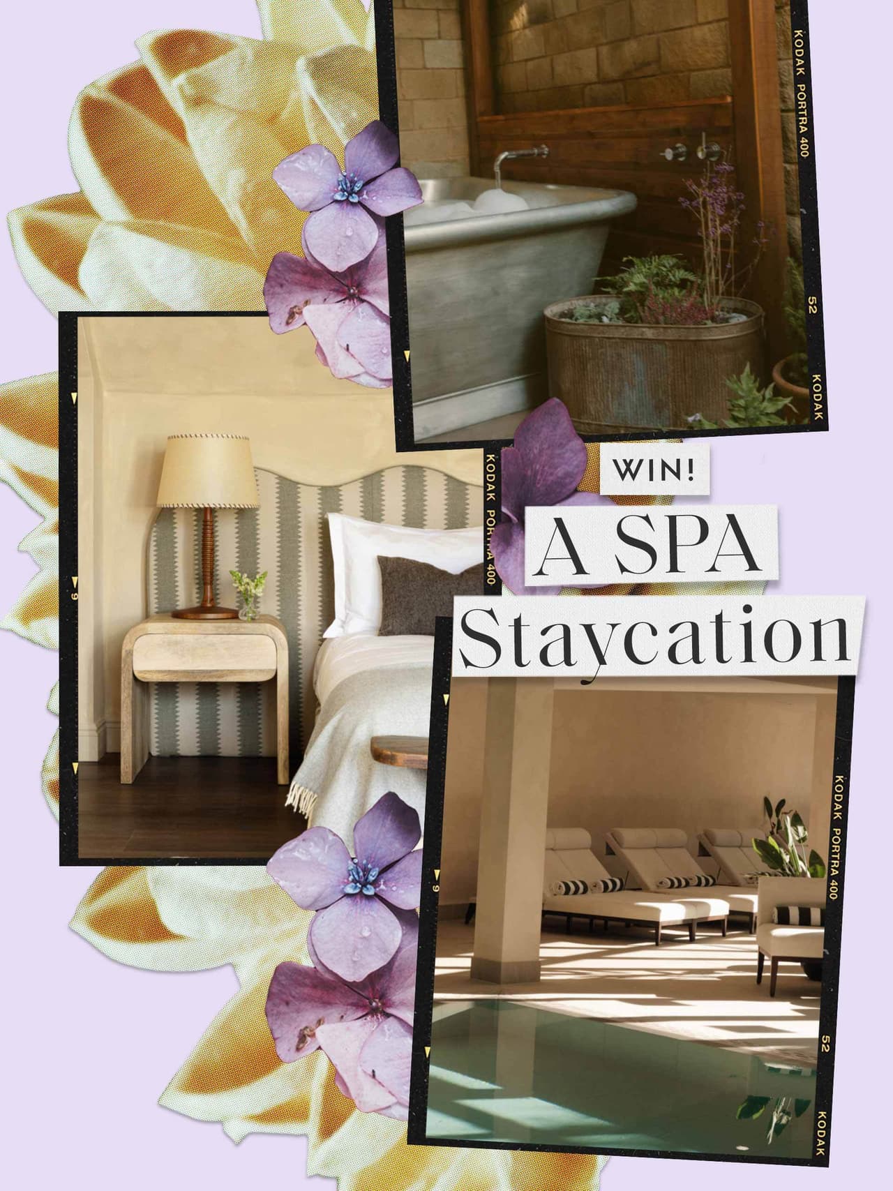 c-saltmoore-comp-grid