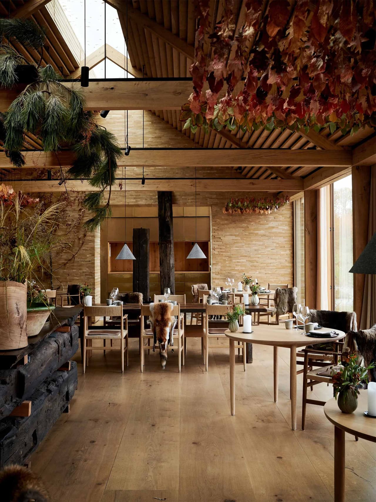 eat-noma Image: Noma