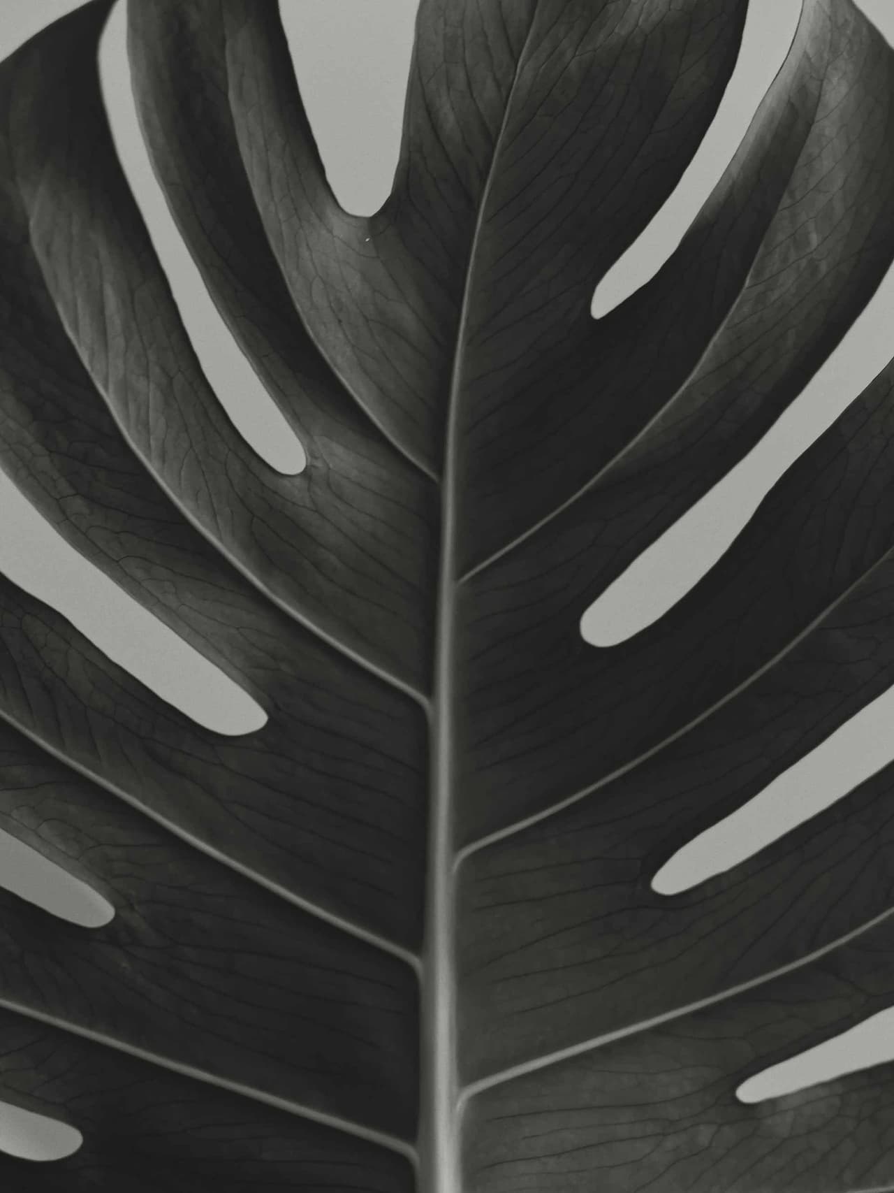 legris-holding-gryffyn-m Image: Gryffyn M