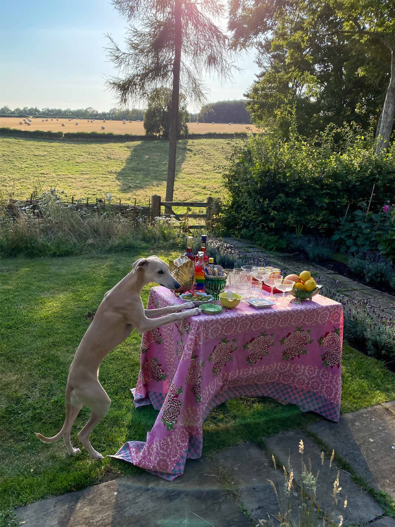 Escape To The Cotswolds with Duncan Campbell