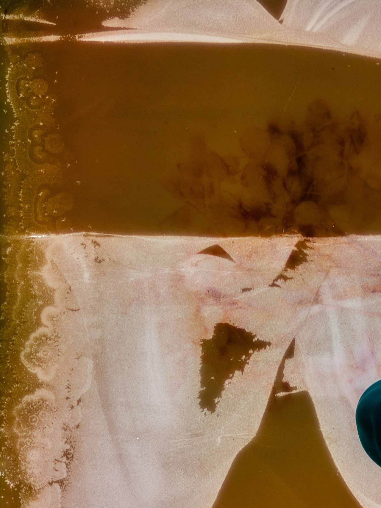 earth-day-holding-annie-spratt Image: Annie Spratt